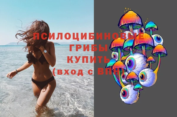 синтетический гашиш Богородск