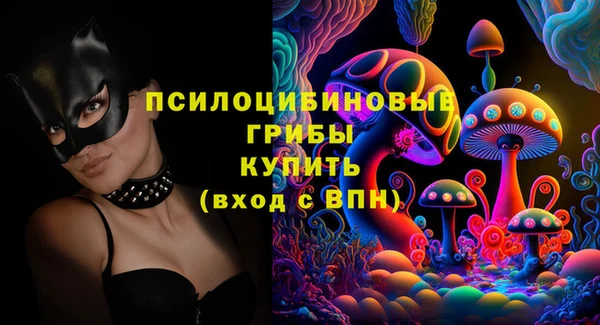 синтетический гашиш Богородск