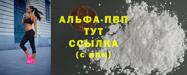 индика Покачи