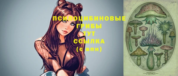 синтетический гашиш Богородицк