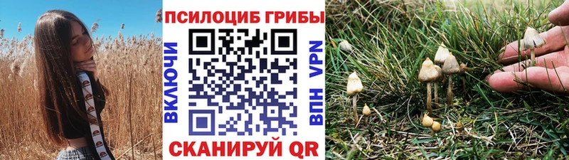 Галлюциногенные грибы GOLDEN TEACHER  блэк спрут вход  Нижний Тагил 